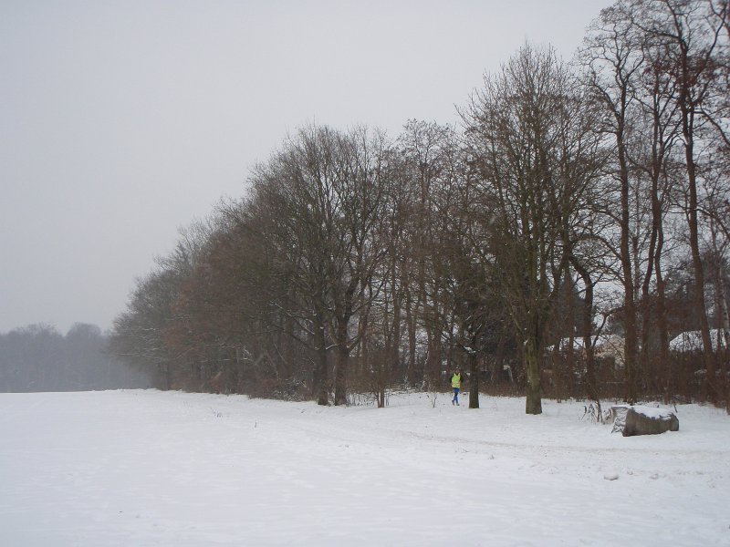 Luemmellauf Ahrensburg 123